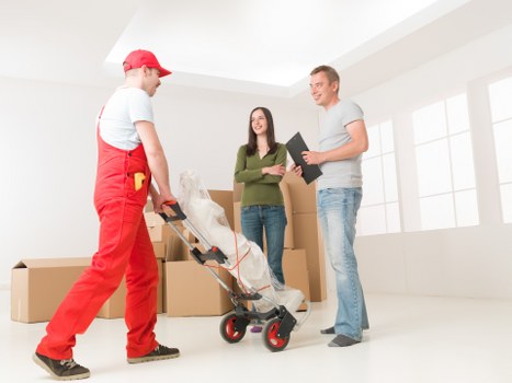 Packing and loading help for a van move